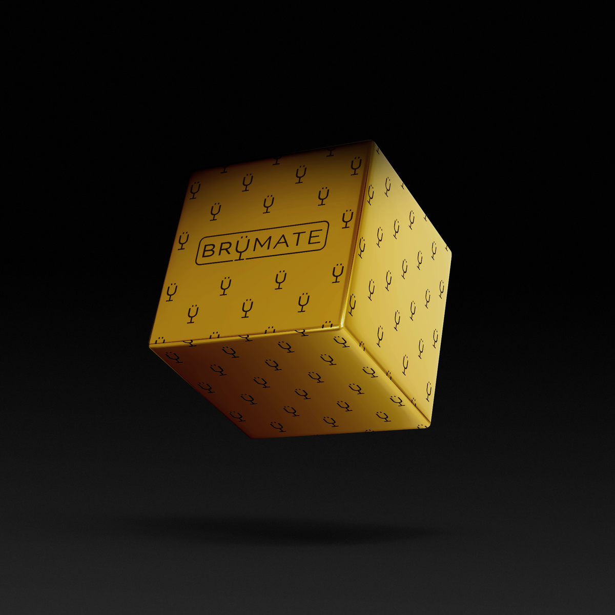 premium-mystery-item-39-70-value-b0 IMG-1548.png
